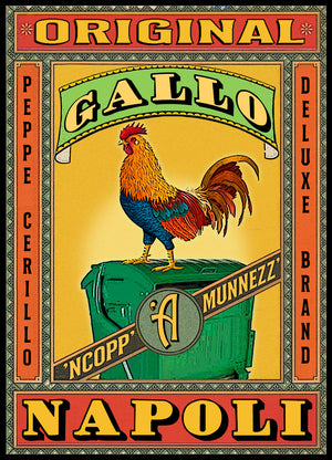 Gallo – Stampa